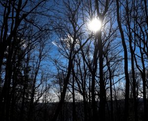 AccuWeather: Temps will drop, could see some snow by Wednesday